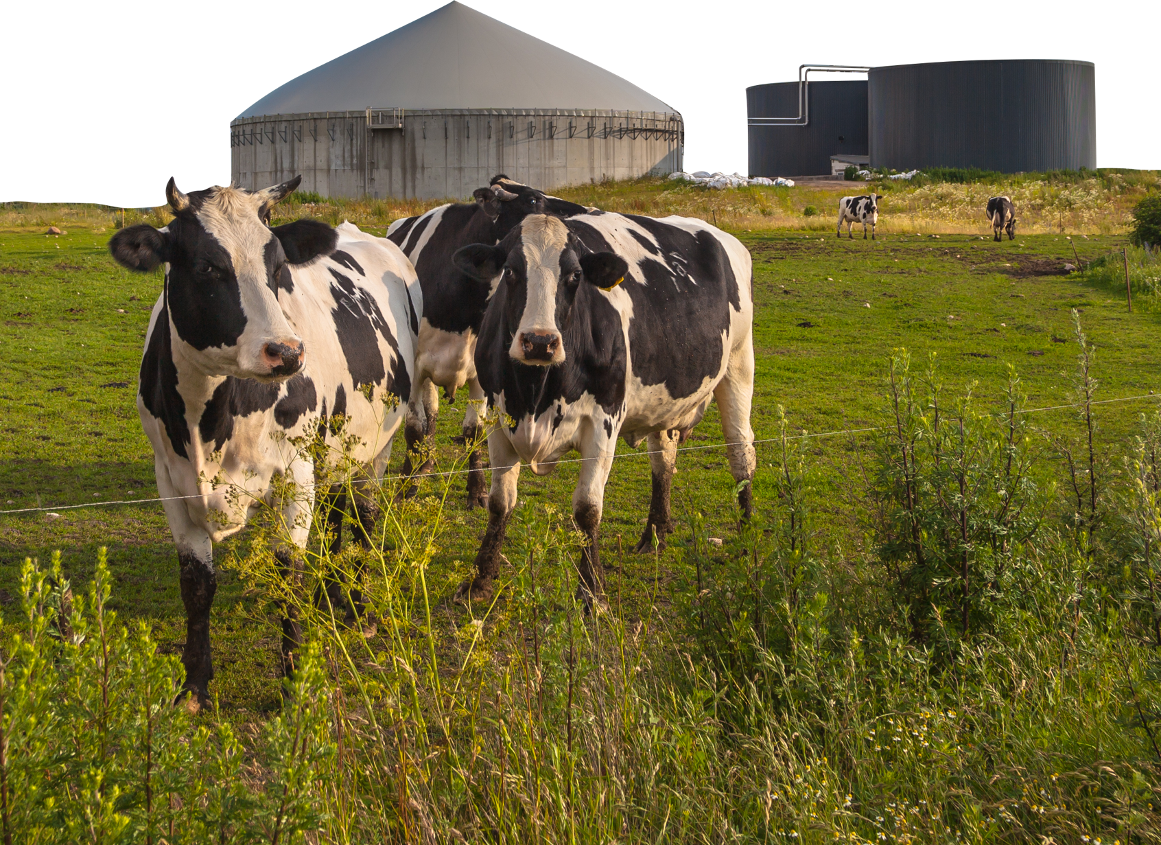 Klaar voor een groene toekomst